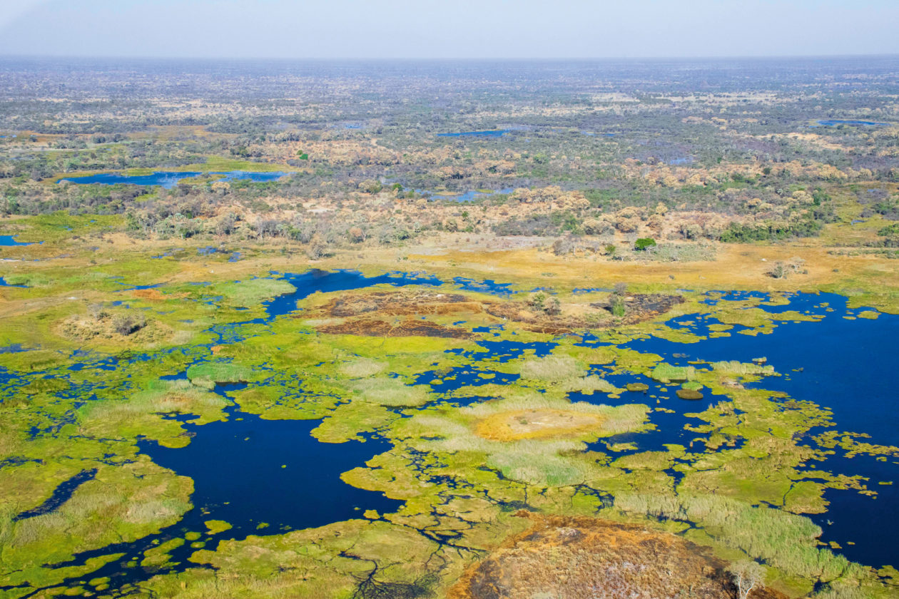 Delta Okawango