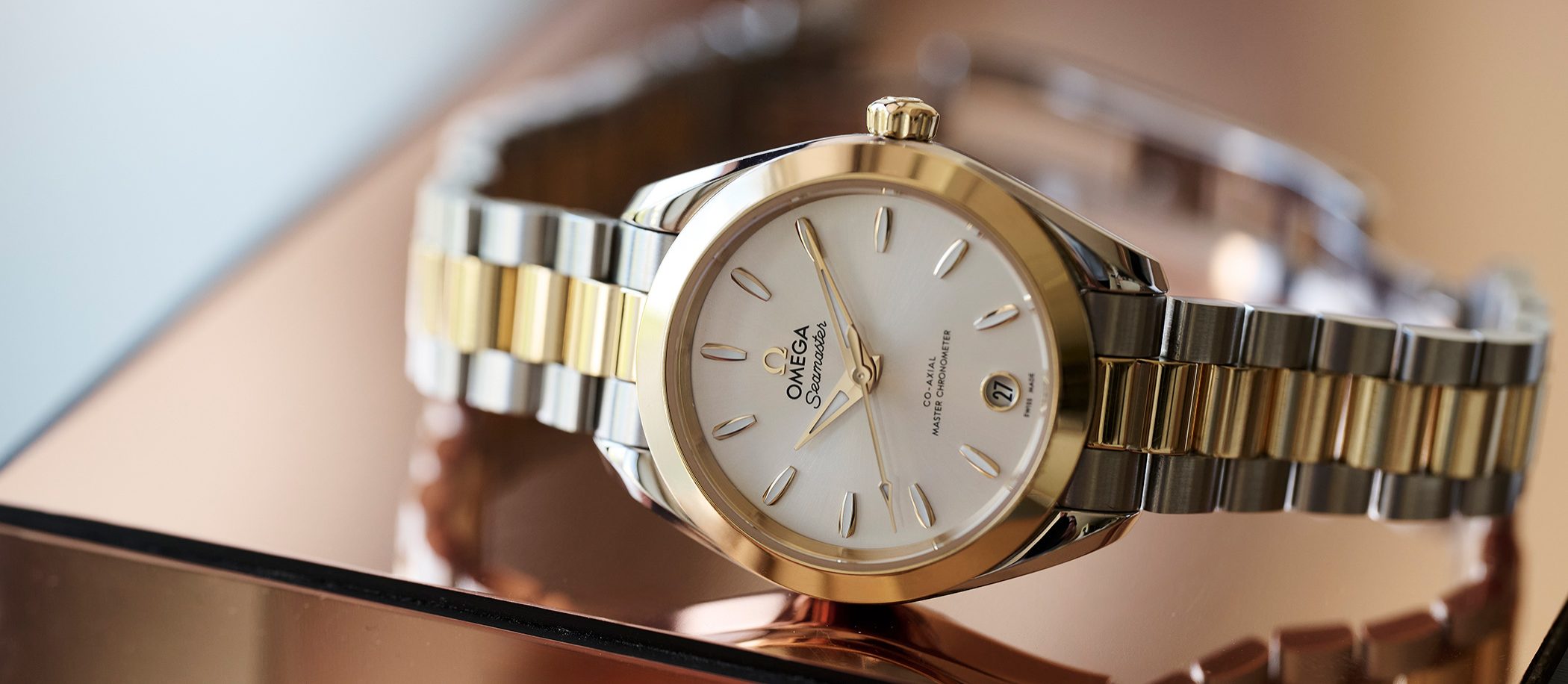 Omega Aqua Terra