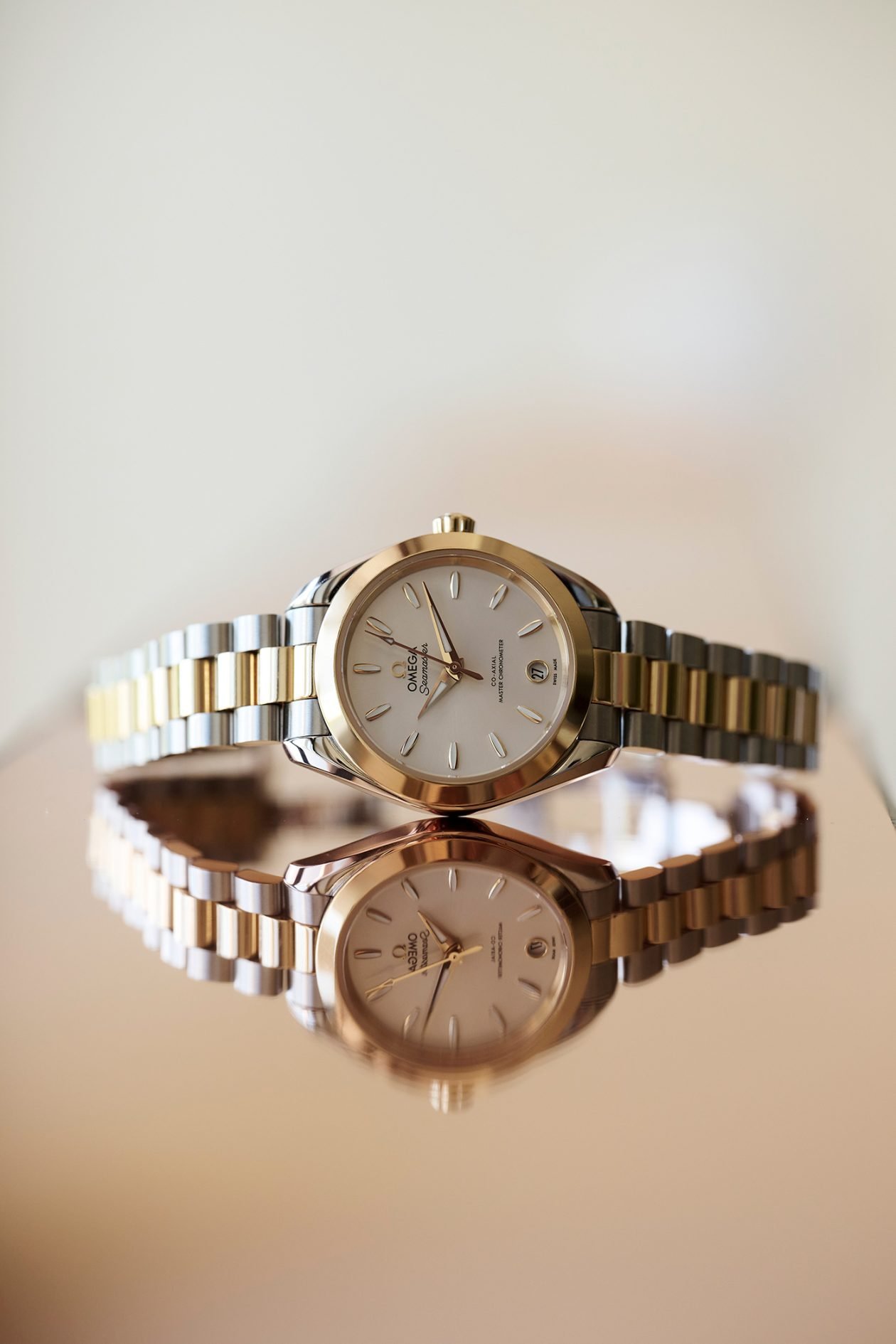 Omega Aqua Terra