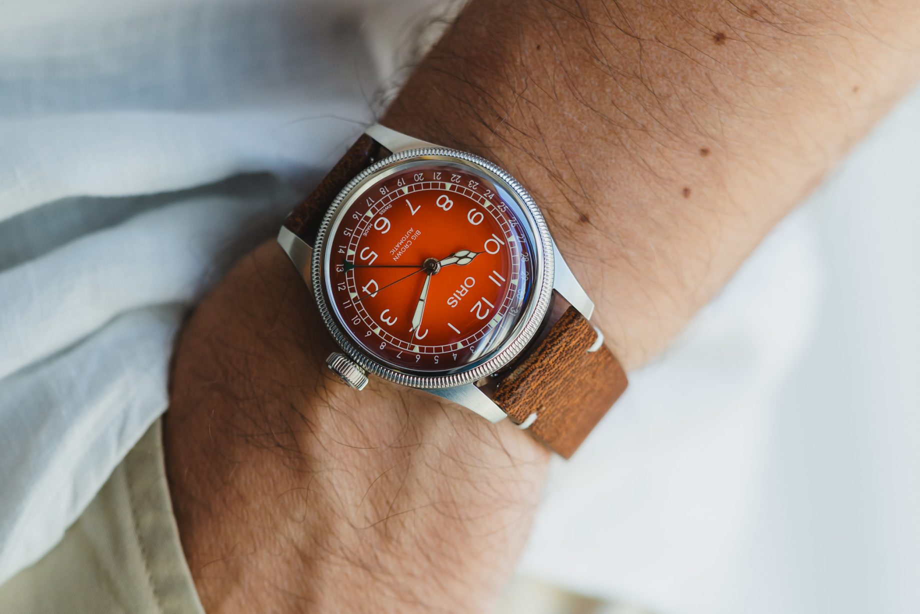 Big Crown Pointer Date x Cervo Volante